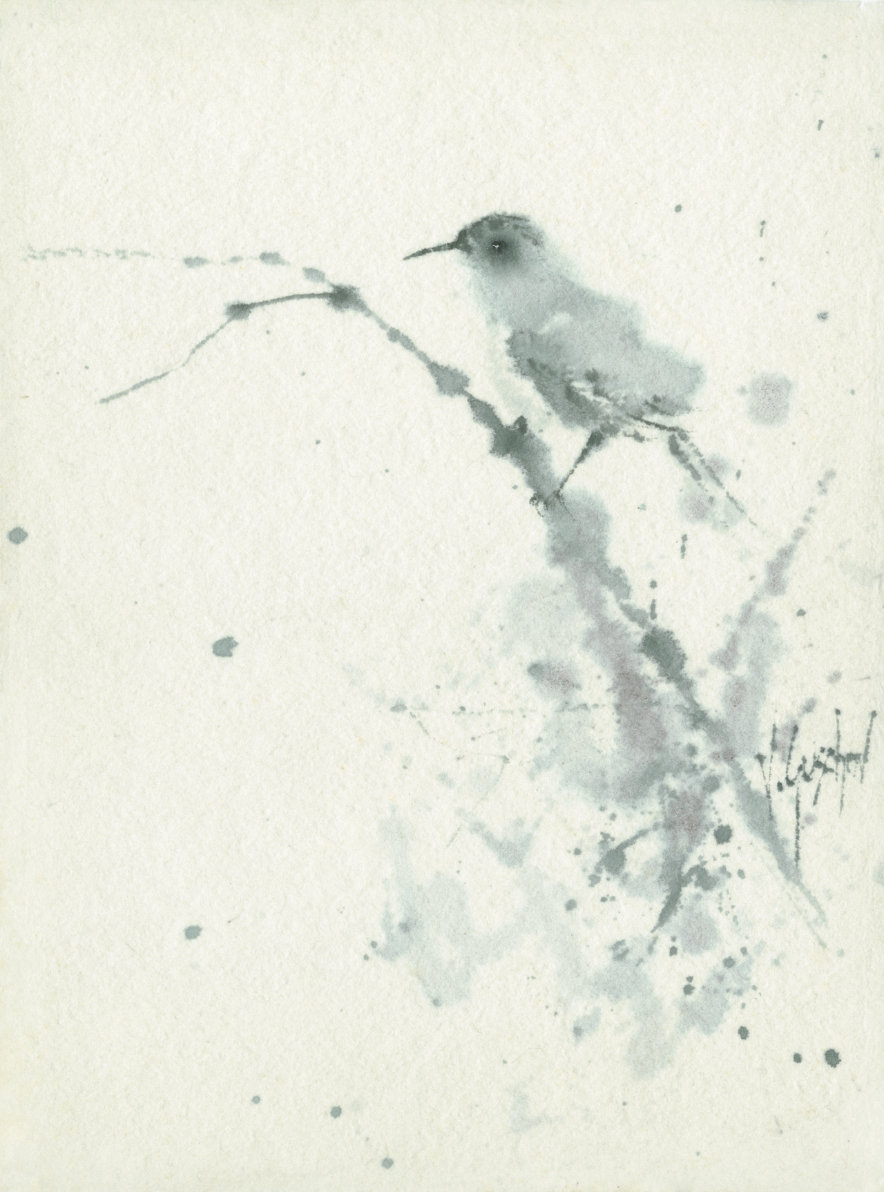 Sumi Bird