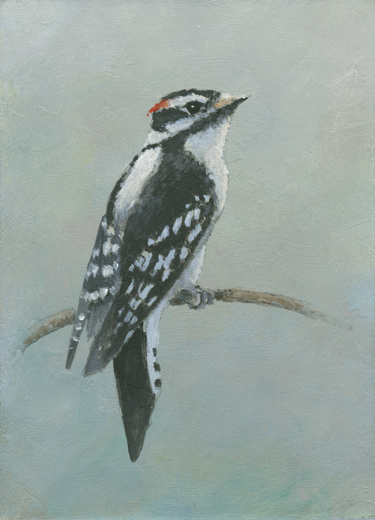 Woodpecker